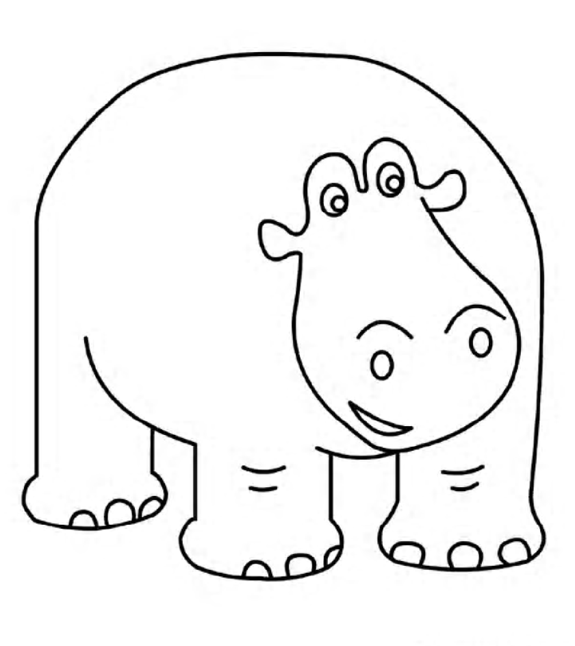 Hipopotam kolorowanki